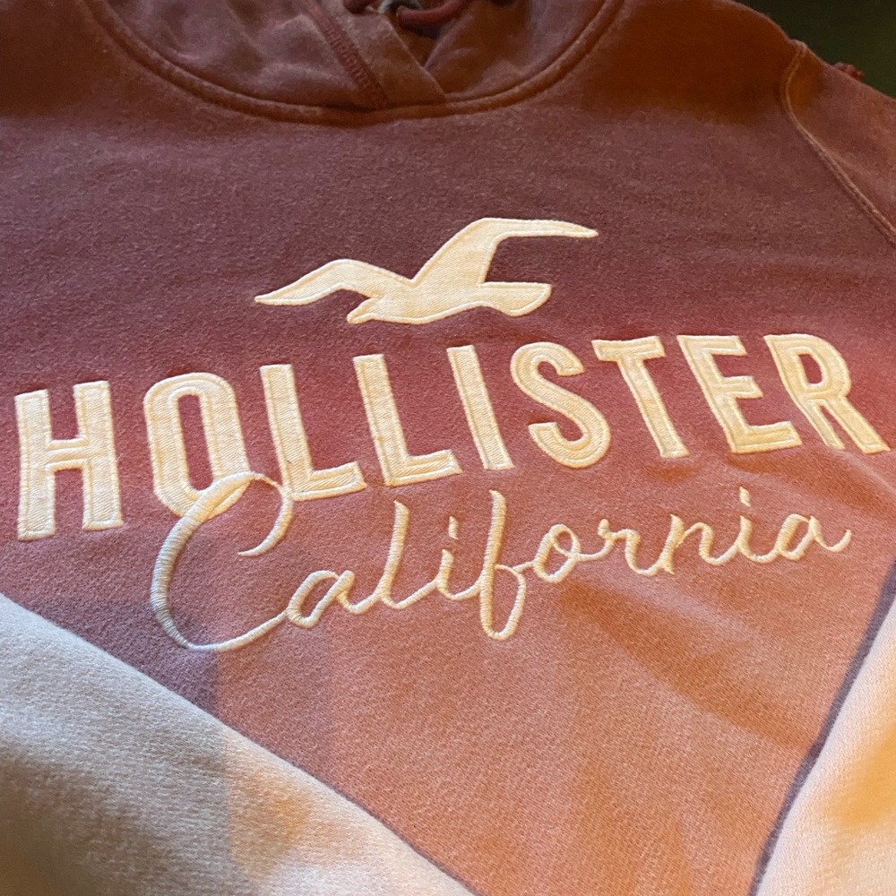 Hollister hoodie in good condition only worn a few times No stains. Size medium